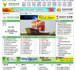沈阳易画网络信息服务图册 赋能数字时代的创意桥梁